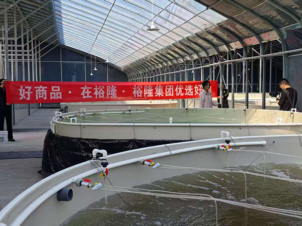 養(yǎng)魚(yú)大棚