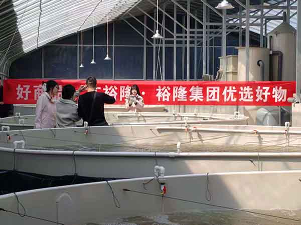 養(yǎng)魚(yú)大棚