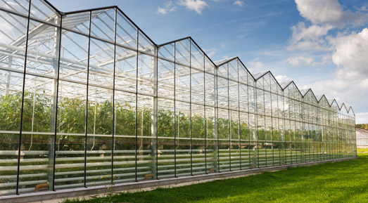 安陽市五洲農(nóng)業(yè)科技有限公司