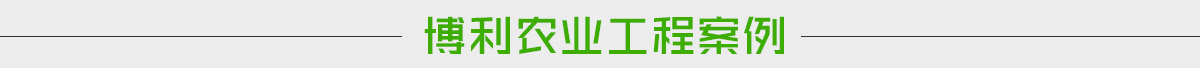 安陽市五洲農(nóng)業(yè)科技有限公司工程案例